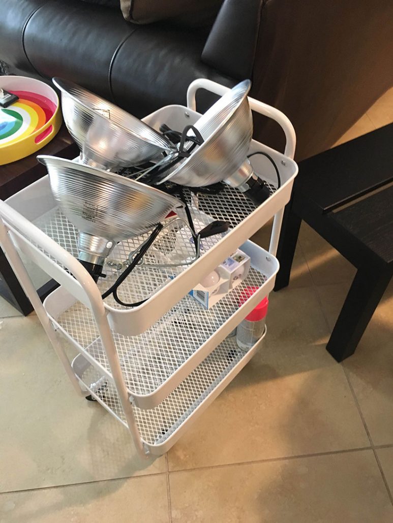 I Bought a Thing You Guys Art Cart Design Your Best Life